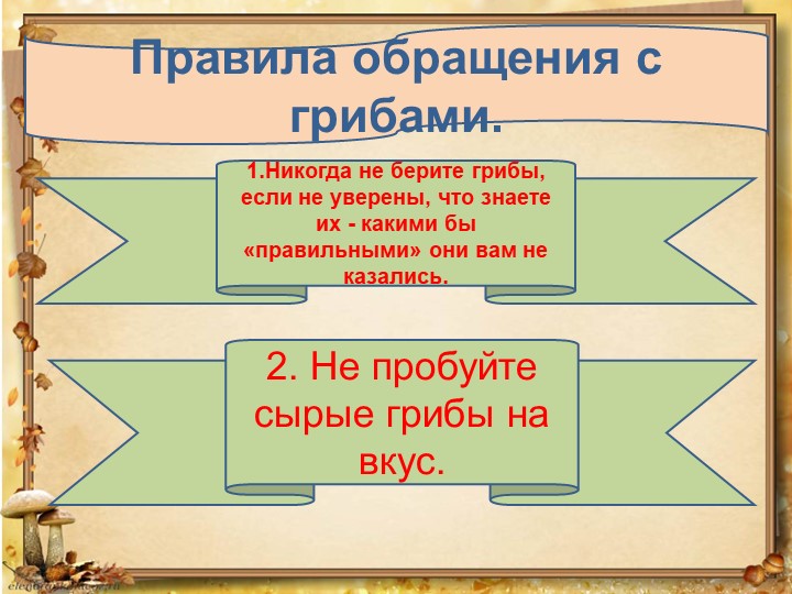 Презентация по окружающему миру на тему: "Грибное лукошко" (подготовительная группа)