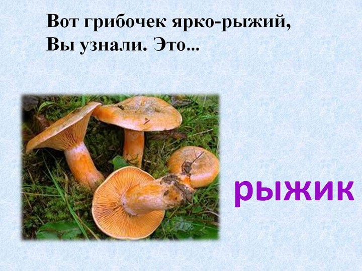 Презентация по окружающему миру на тему: "Грибное лукошко" (подготовительная группа)