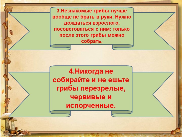 Презентация по окружающему миру на тему: "Грибное лукошко" (подготовительная группа)