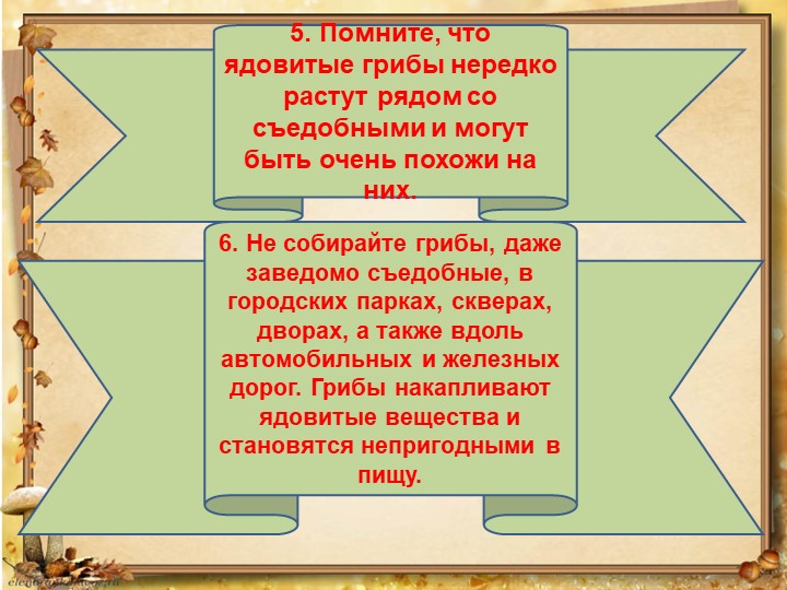 Презентация по окружающему миру на тему: "Грибное лукошко" (подготовительная группа)