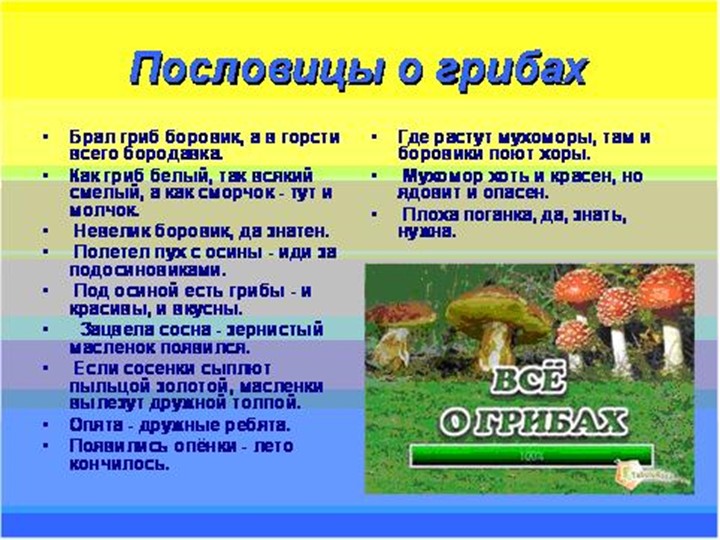 Презентация по окружающему миру на тему: "Грибное лукошко" (подготовительная группа)