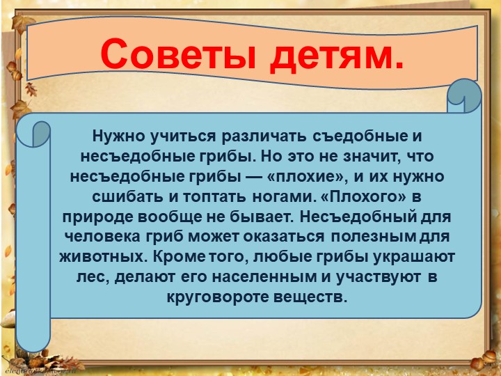 Презентация по окружающему миру на тему: "Грибное лукошко" (подготовительная группа)