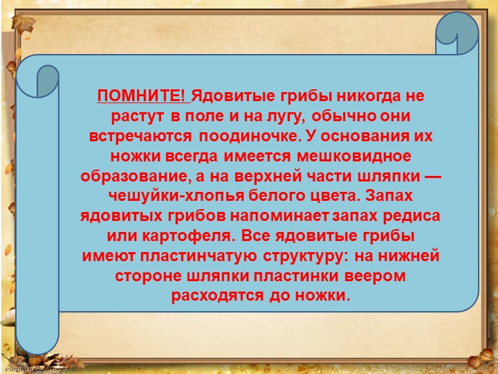 Презентация по окружающему миру на тему: "Грибное лукошко" (подготовительная группа)