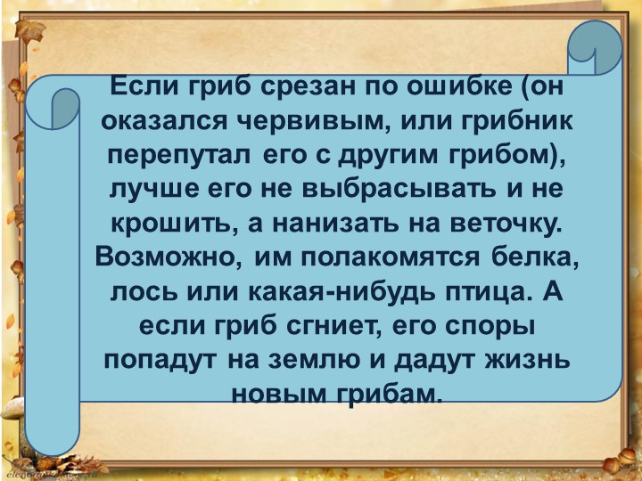 Презентация по окружающему миру на тему: "Грибное лукошко" (подготовительная группа)