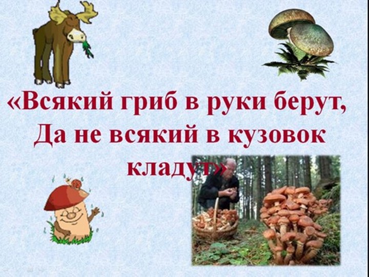 Презентация по окружающему миру на тему: "Грибное лукошко" (подготовительная группа)