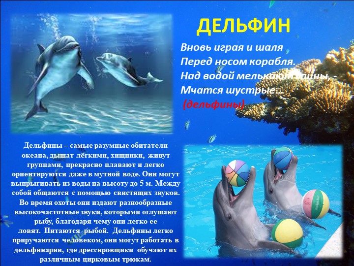 Презентация "Путешествие на марское дно"