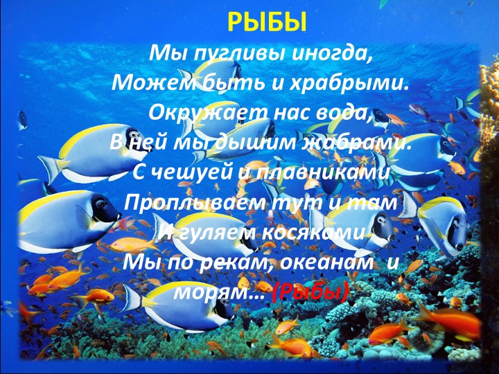 Презентация "Путешествие на марское дно"