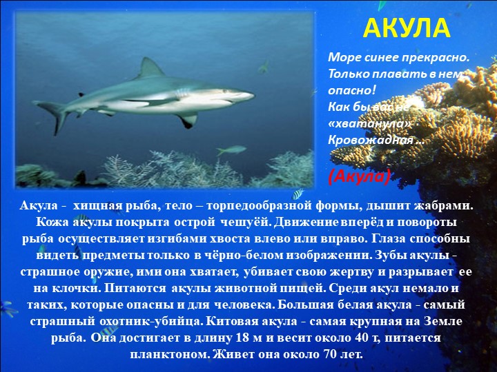 Презентация "Путешествие на марское дно"