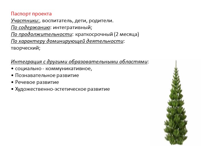 Проект в 1 младшей группе "Елочка"