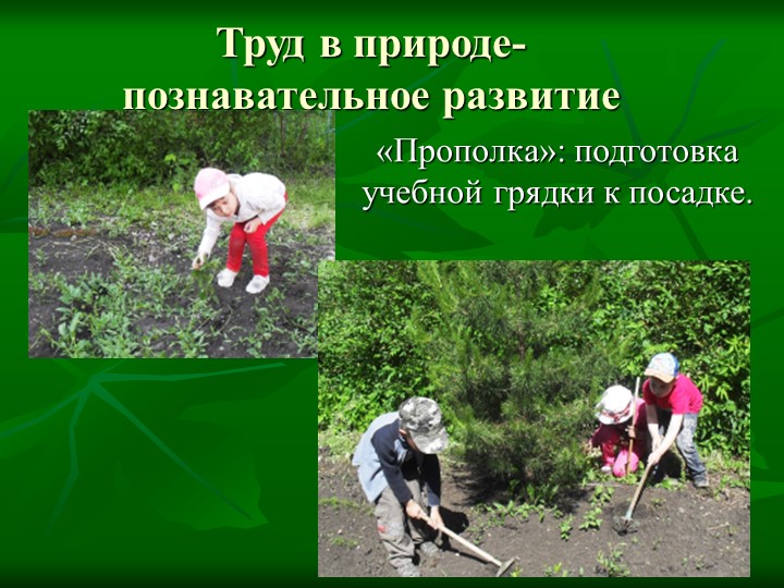 Летние тематические каникулы "Природа и мы"