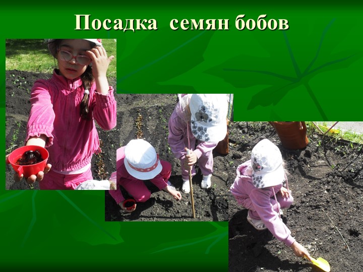Летние тематические каникулы "Природа и мы"