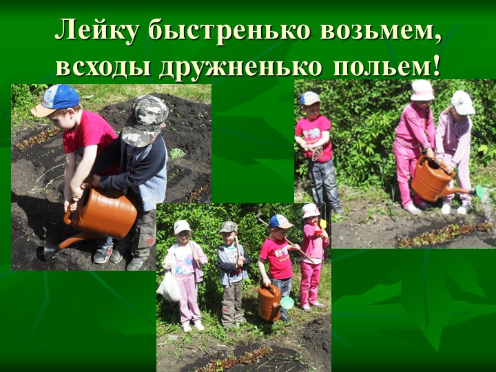 Летние тематические каникулы "Природа и мы"