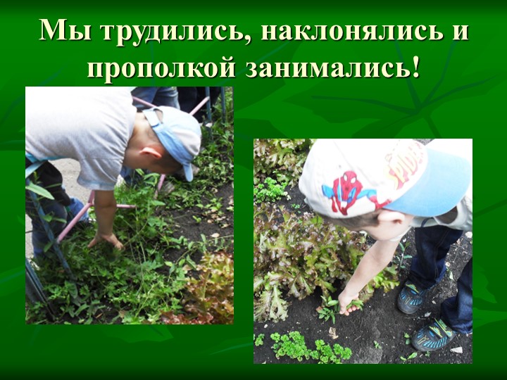Летние тематические каникулы "Природа и мы"