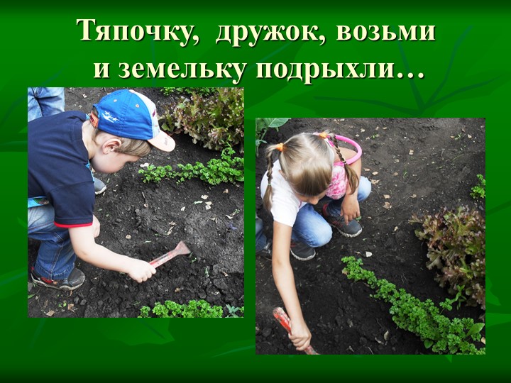 Летние тематические каникулы "Природа и мы"