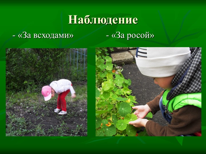 Летние тематические каникулы "Природа и мы"