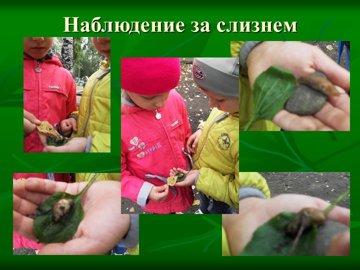 Летние тематические каникулы "Природа и мы"