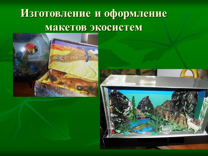 Летние тематические каникулы "Природа и мы"