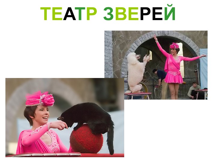 Знакомство с театром для детей старшего и дошкольного возраста