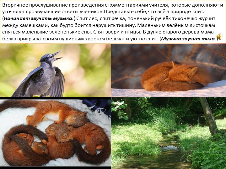 Музыкальный проект " Рисуем музыку" для детей подготовительной группы