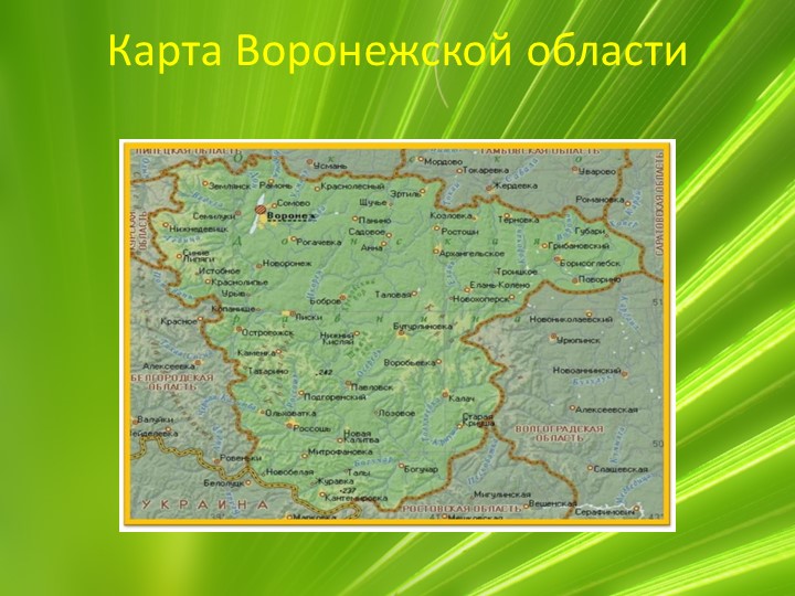 Презентация по ознакомлению с миром природы "Животные Воронежской области"