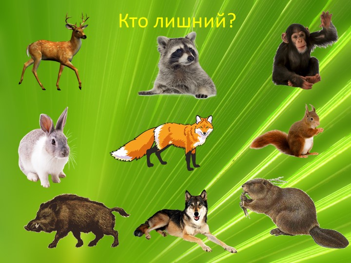 Презентация по ознакомлению с миром природы "Животные Воронежской области"
