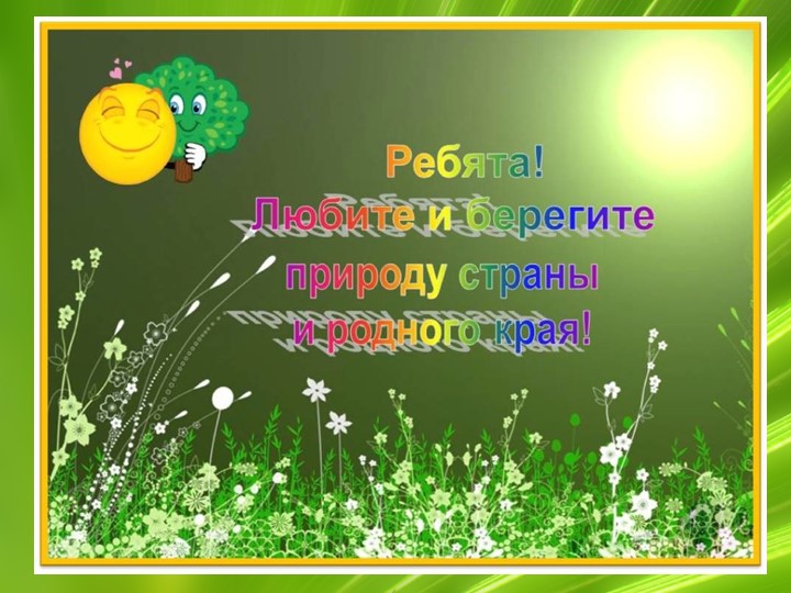 Презентация по ознакомлению с миром природы "Животные Воронежской области"