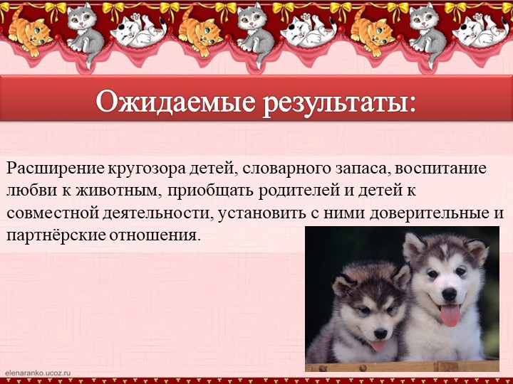 Презентация по окружающиму миру "Наши четвероногие друзья" (группа дошкольного образования подготовка детей к школе)