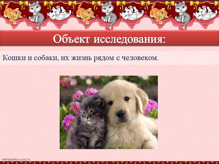 Презентация по окружающиму миру "Наши четвероногие друзья" (группа дошкольного образования подготовка детей к школе)
