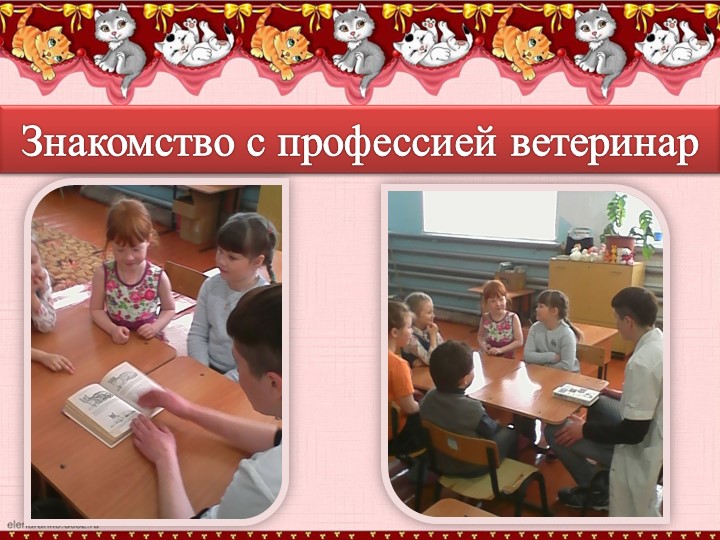 Презентация по окружающиму миру "Наши четвероногие друзья" (группа дошкольного образования подготовка детей к школе)