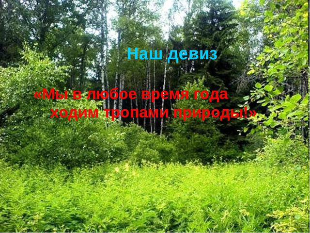 Деревья весной. Презентация для детей