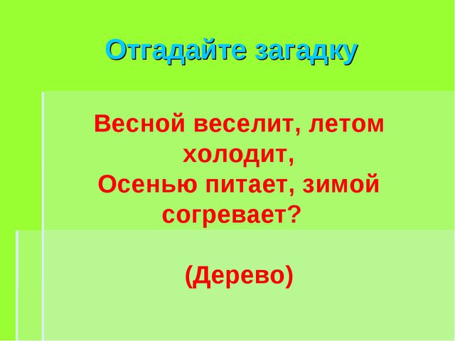 Деревья весной. Презентация для детей