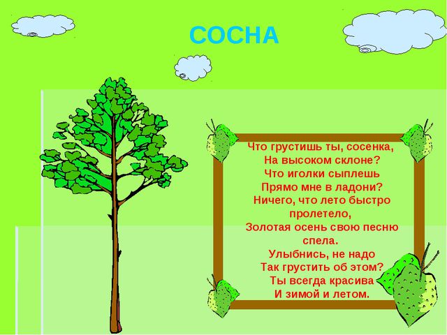 Деревья весной. Презентация для детей