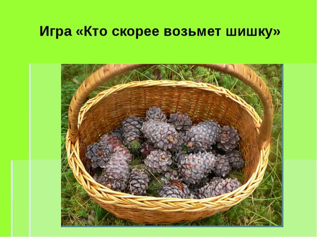 Деревья весной. Презентация для детей