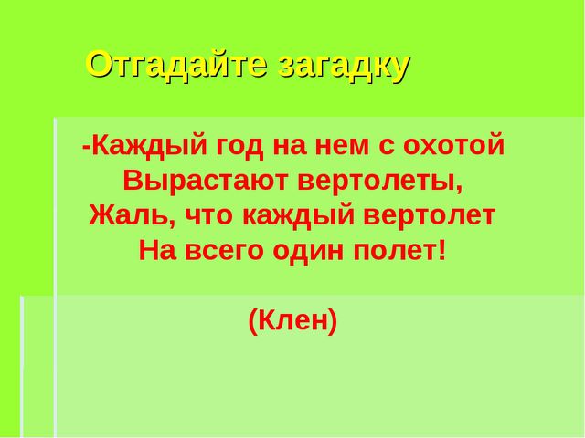 Деревья весной. Презентация для детей