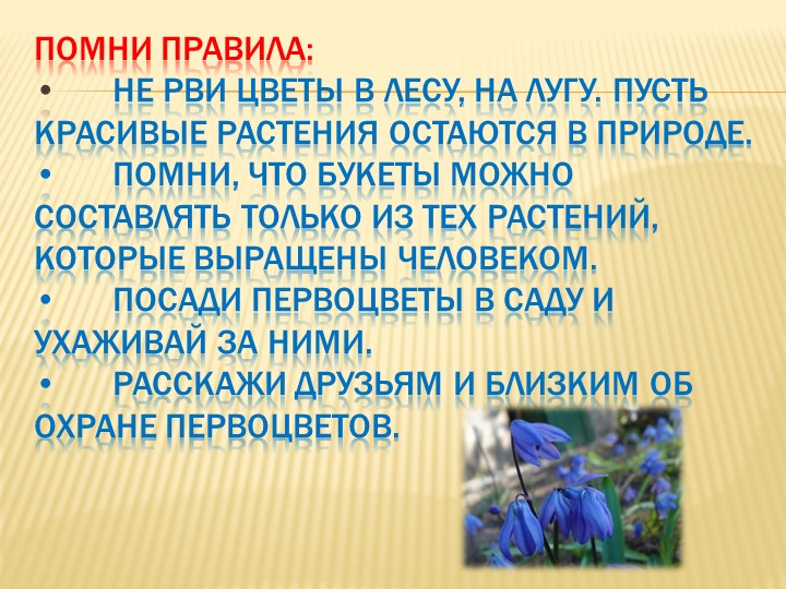 Не рву цветы. Помни правила первоцветы. Не рви цветы завянут. Не рви в лесу и на лугу цветы. Не рвите цветы текст.