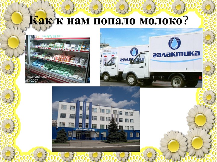 Презентация по познавательному развитию "Молоко"