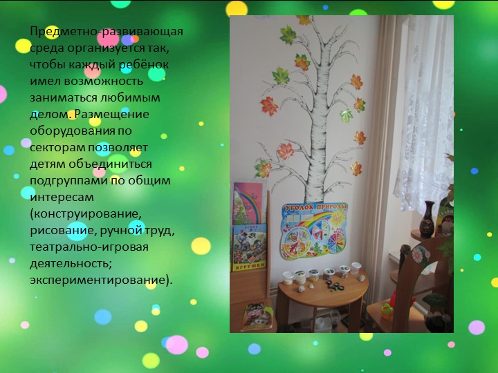 Презентация: на тему: "Подходы к созданию РППС в разных возрастных группах "