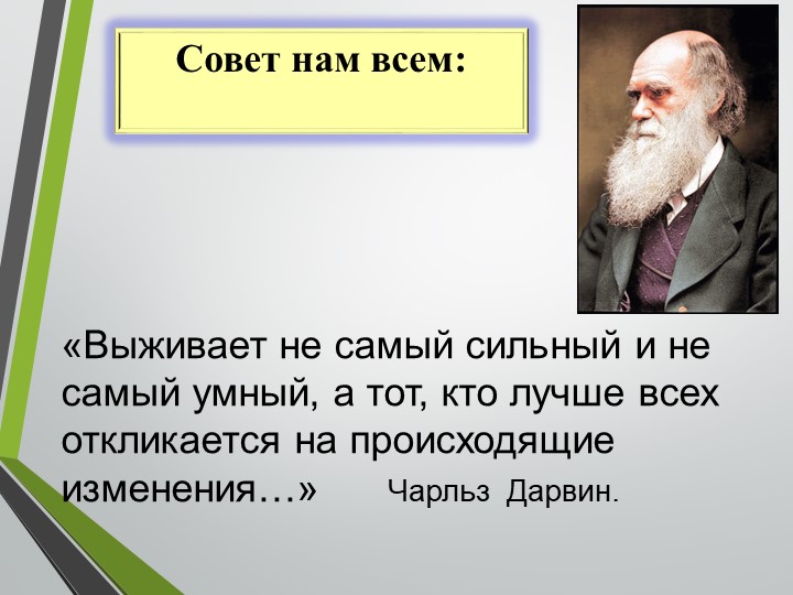 Мастер класс "Мастерство презентаций"