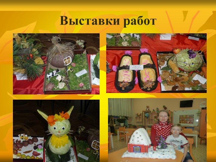 «Особенности взаимодействия с семьями воспитанников по реализации основной образовательной программы ДОУ»