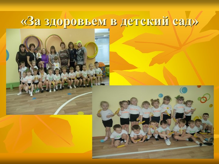 «Особенности взаимодействия с семьями воспитанников по реализации основной образовательной программы ДОУ»