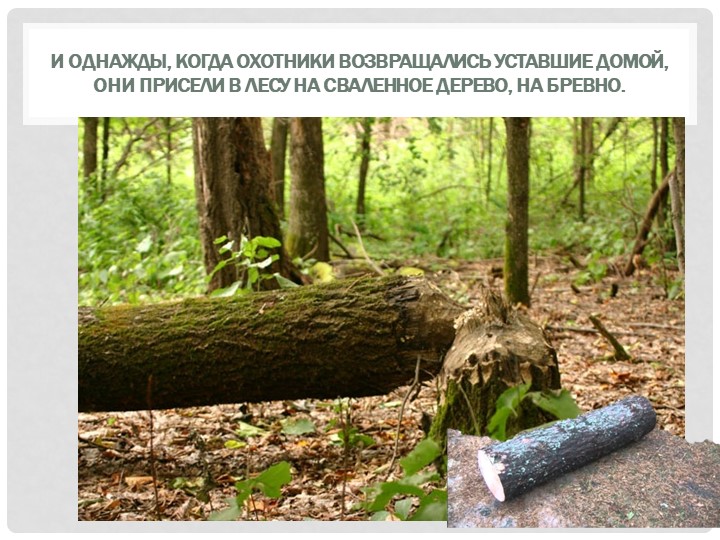 Презентация к занятию "Мебель для Лунтика"