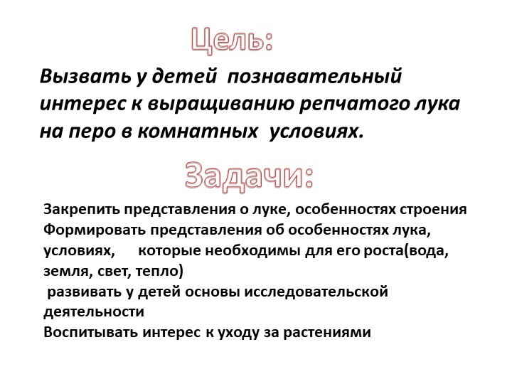 Экологический проект зеленый лук.