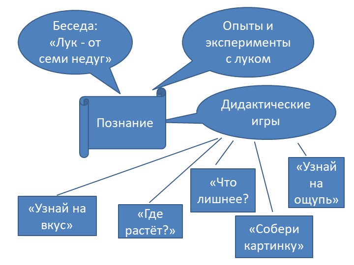 Экологический проект зеленый лук.