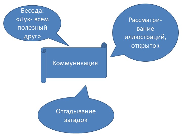 Экологический проект зеленый лук.