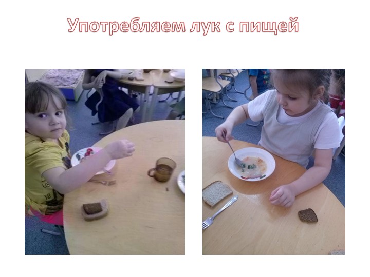 Экологический проект зеленый лук.