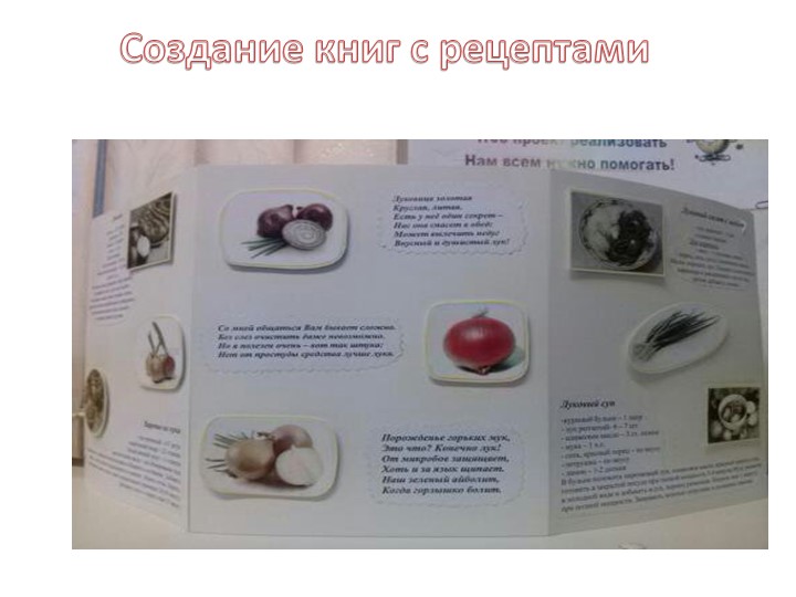Экологический проект зеленый лук.
