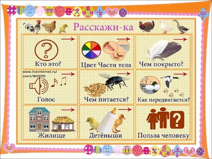 Презентация "Использование мнемотехники в познавательно-речевом развитии детей"