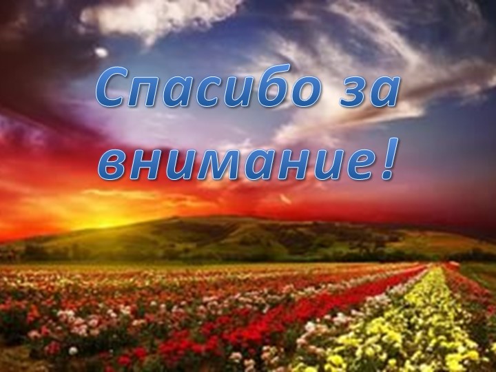 Презентация к конспекту "Маленькие пернатые братья"