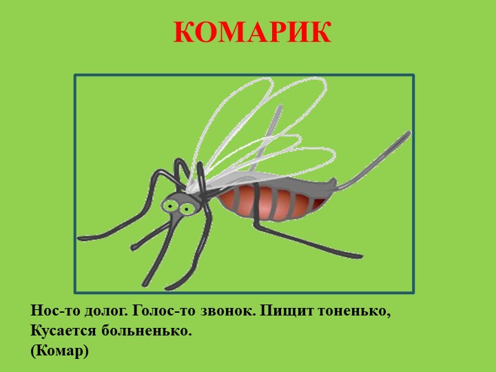 Презентация для родителей "Насекомые лепим дома"