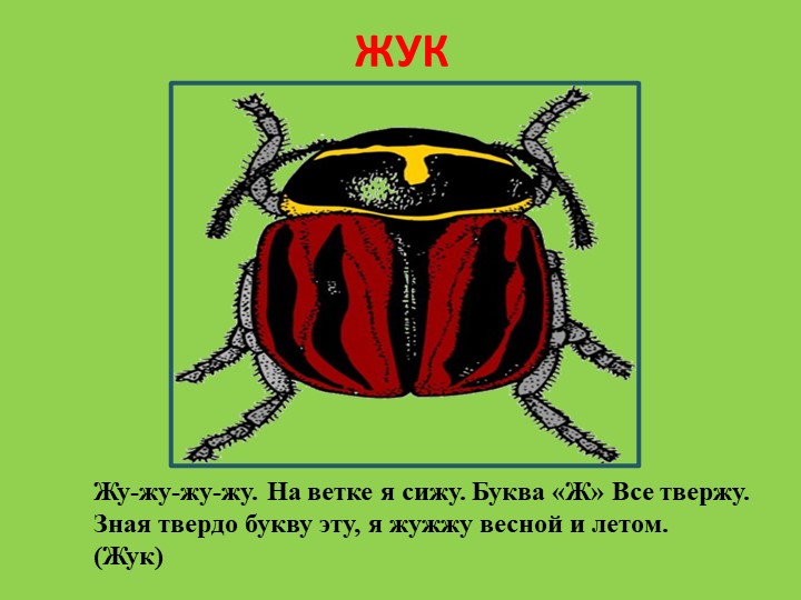 Презентация для родителей "Насекомые лепим дома"